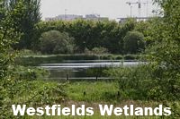 Westfields Wetlands
